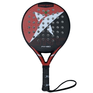 DSI Px490 