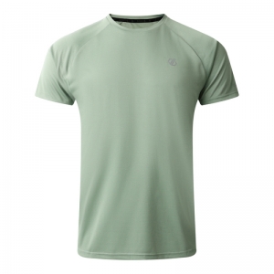 Accelerate Tee U54 Hedge Green